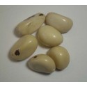Perles en graines de tagua naturelles