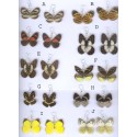 Boucles d'oreilles en ailes de papillons doubles