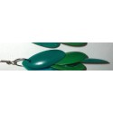Boucles coco et graines