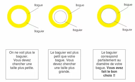 Instructions d'utilisation du baguier virtuel